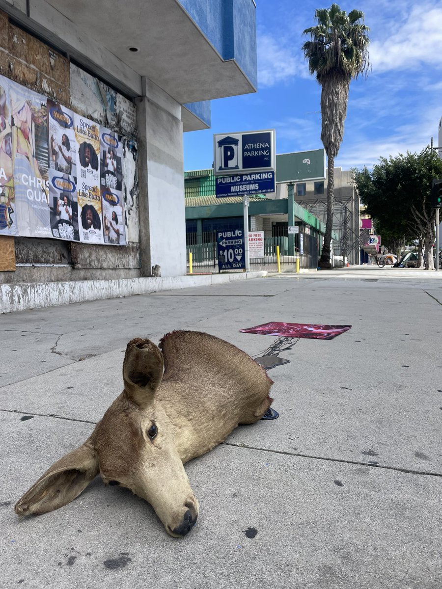 matt adam tweet media