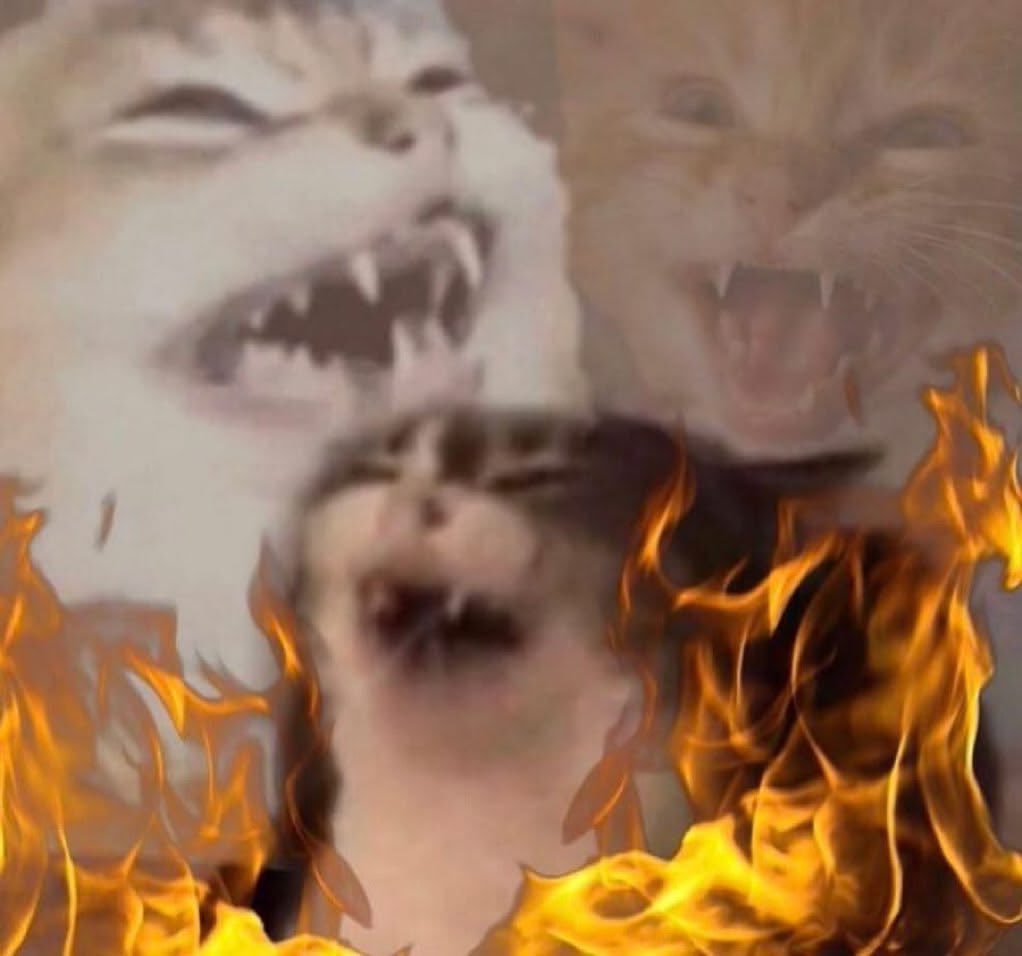 Los que estamos en Twitter desde que era el Twitter sin cristalitos nunca vamos a olvidar la cuenta “Mi foto con un negro”.