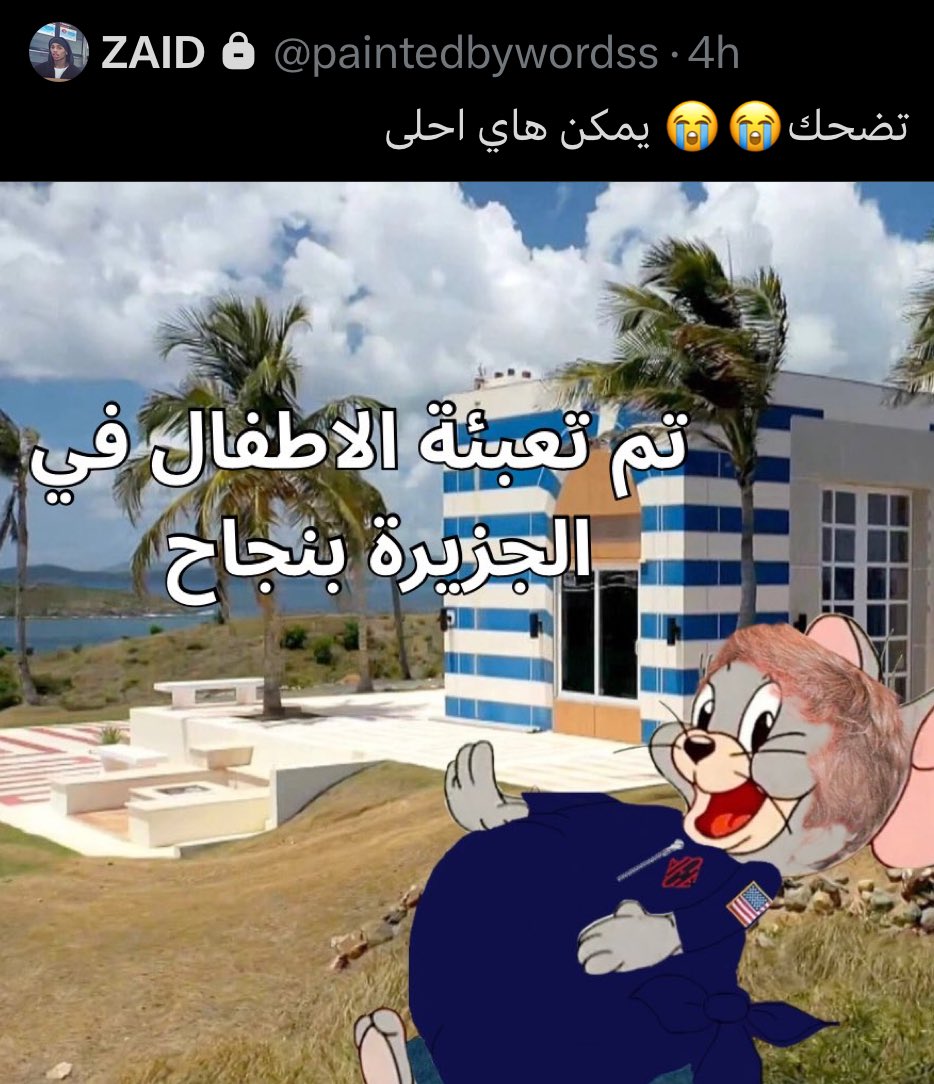 القط الاسود tweet media