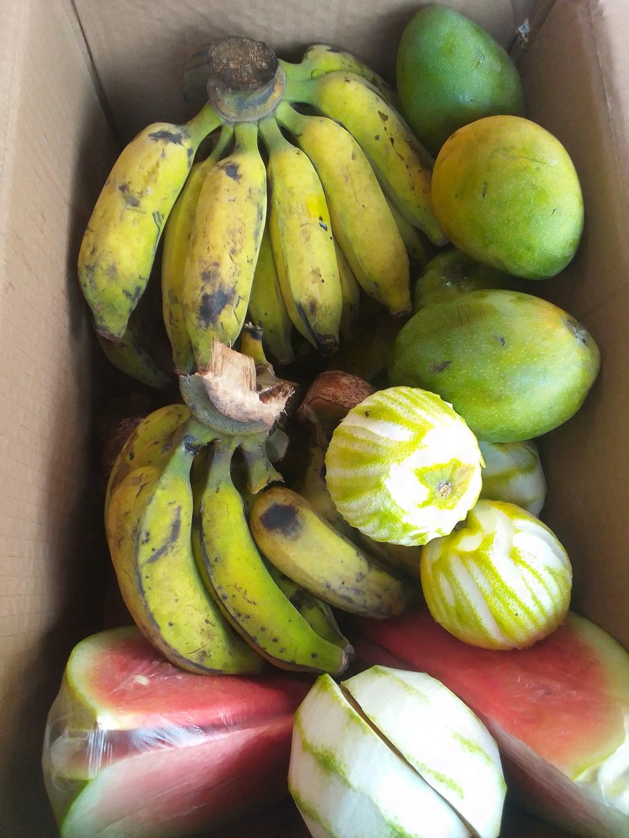 AlimatOladele's tweet photo. As salam alaykum.

My mom needs your patronage, she sells fruits for iftar which will be available throughout Ramadan, her shop is at Adelubi iwo road, Ibadan. 
I can deliver to Mosques on Request and location closer to iwo road.

Please help Repost, Jazakum lahu kayran.🙏🙏 https://t.co/qDHlzZK33y