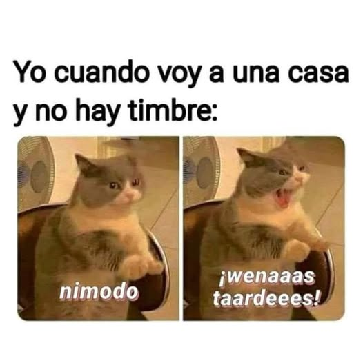 ManadaMiaucito's tweet photo. https://t.co/lOD0l9AQ2Z