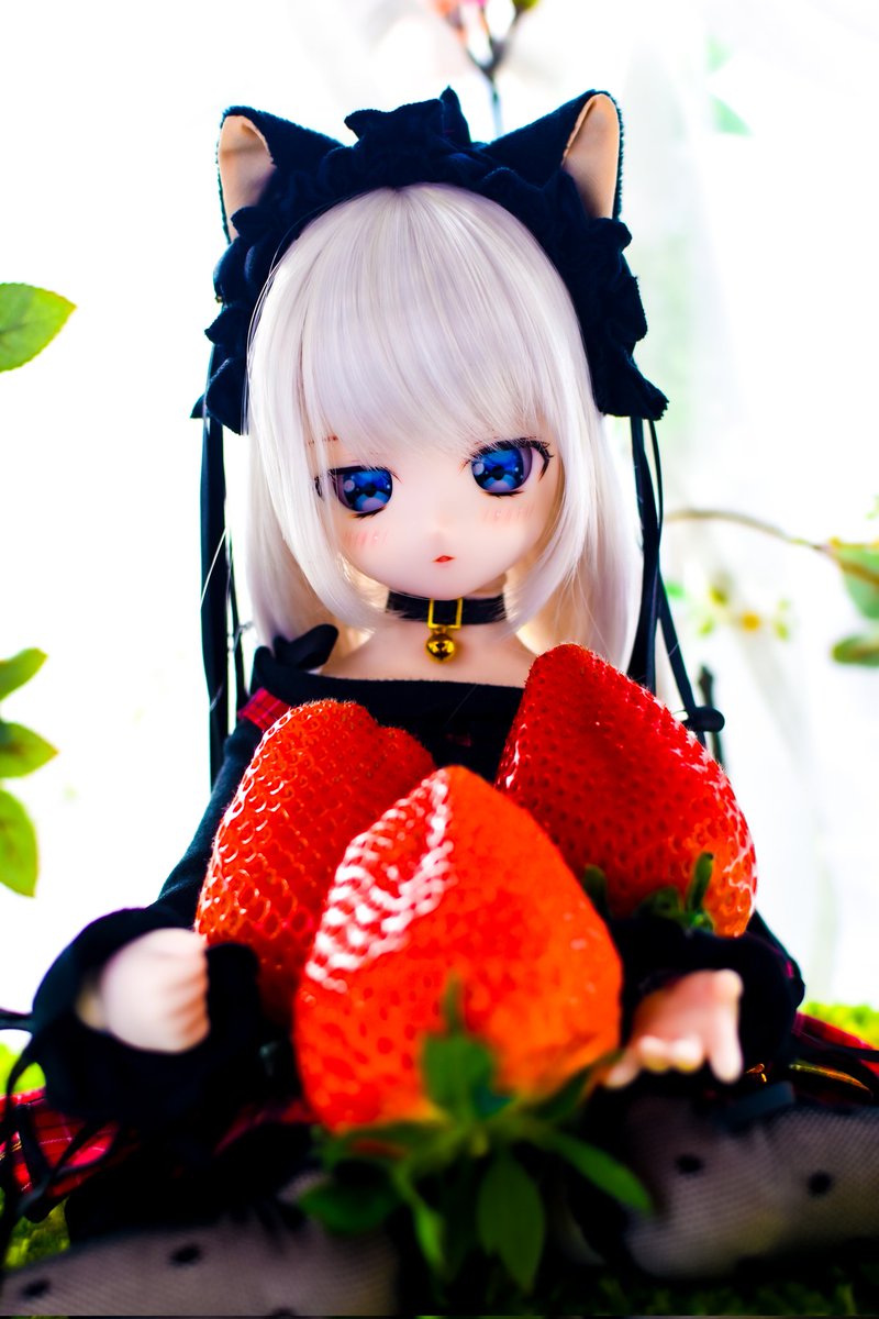 皆さんおはようございます✨

スピードスケート1500⛸️
高木選手お疲れ様でした🙏
今大会でも既に3つメダル獲得されてる高木選手😲💮
まさに鉄人です✨
本当にお疲れ様でした💮🙌💮

三連休🎶💃🎶
連休前半はドールの撮影でもやろうかな〜📸

良い1日を🎶
#おはドル
#ナナイロテントウ
#ボークス