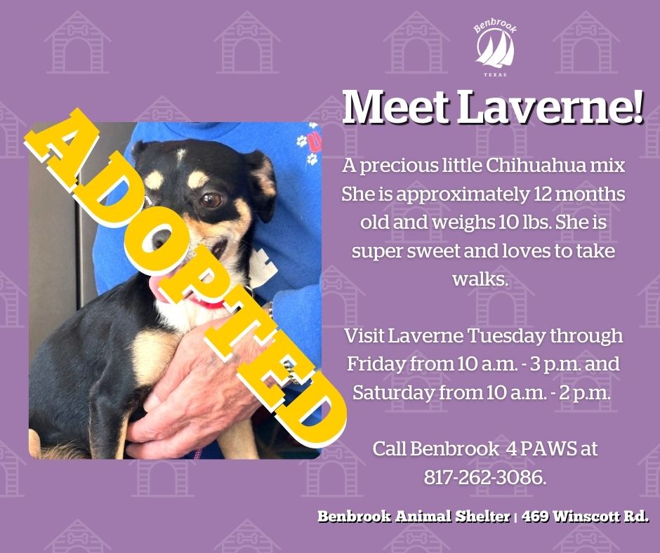 City of Benbrook, TX tweet media