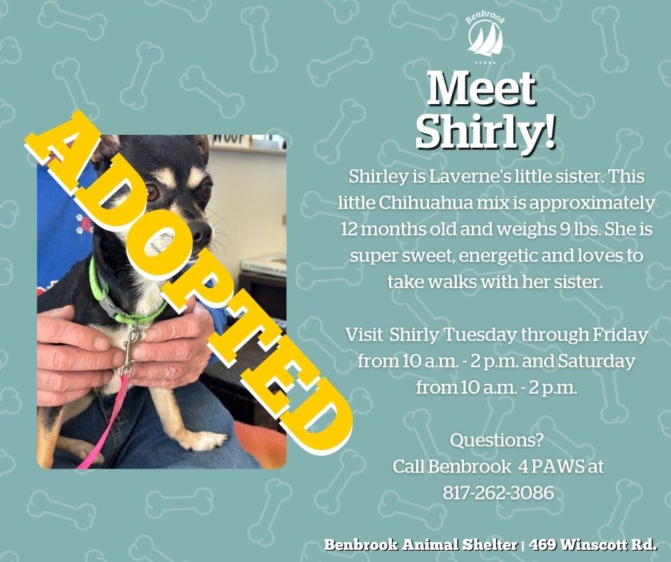 City of Benbrook, TX tweet media