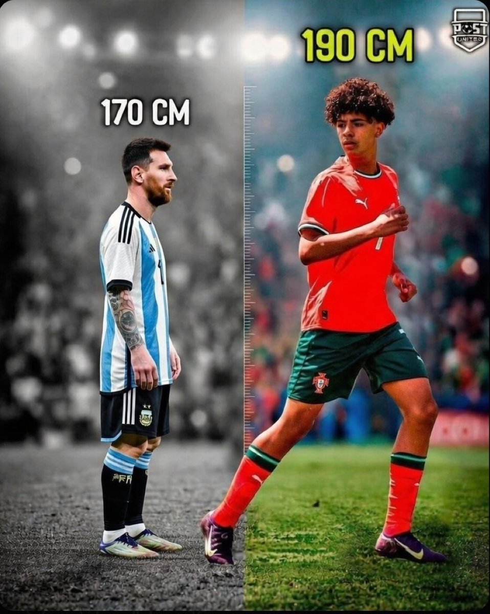 Arielipillo tweet media