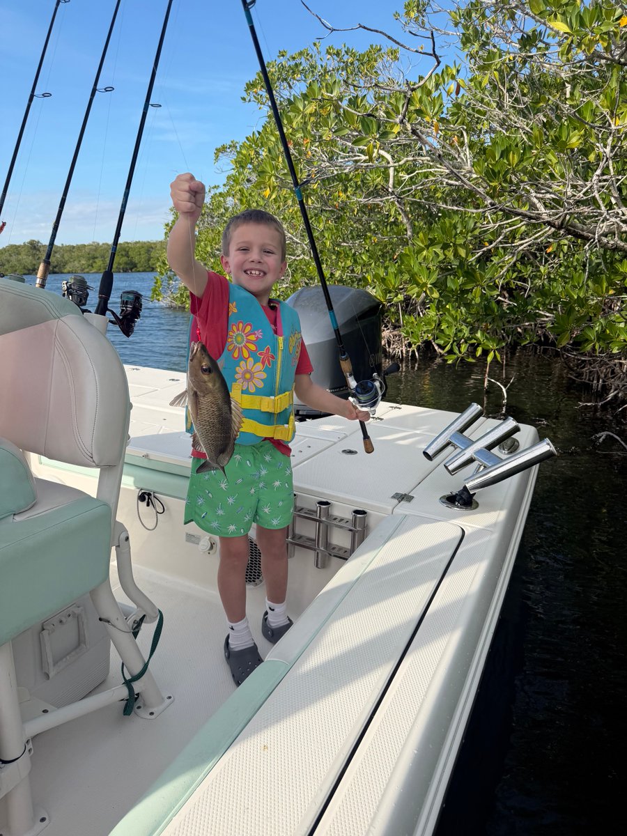 Laman Stark tweet media