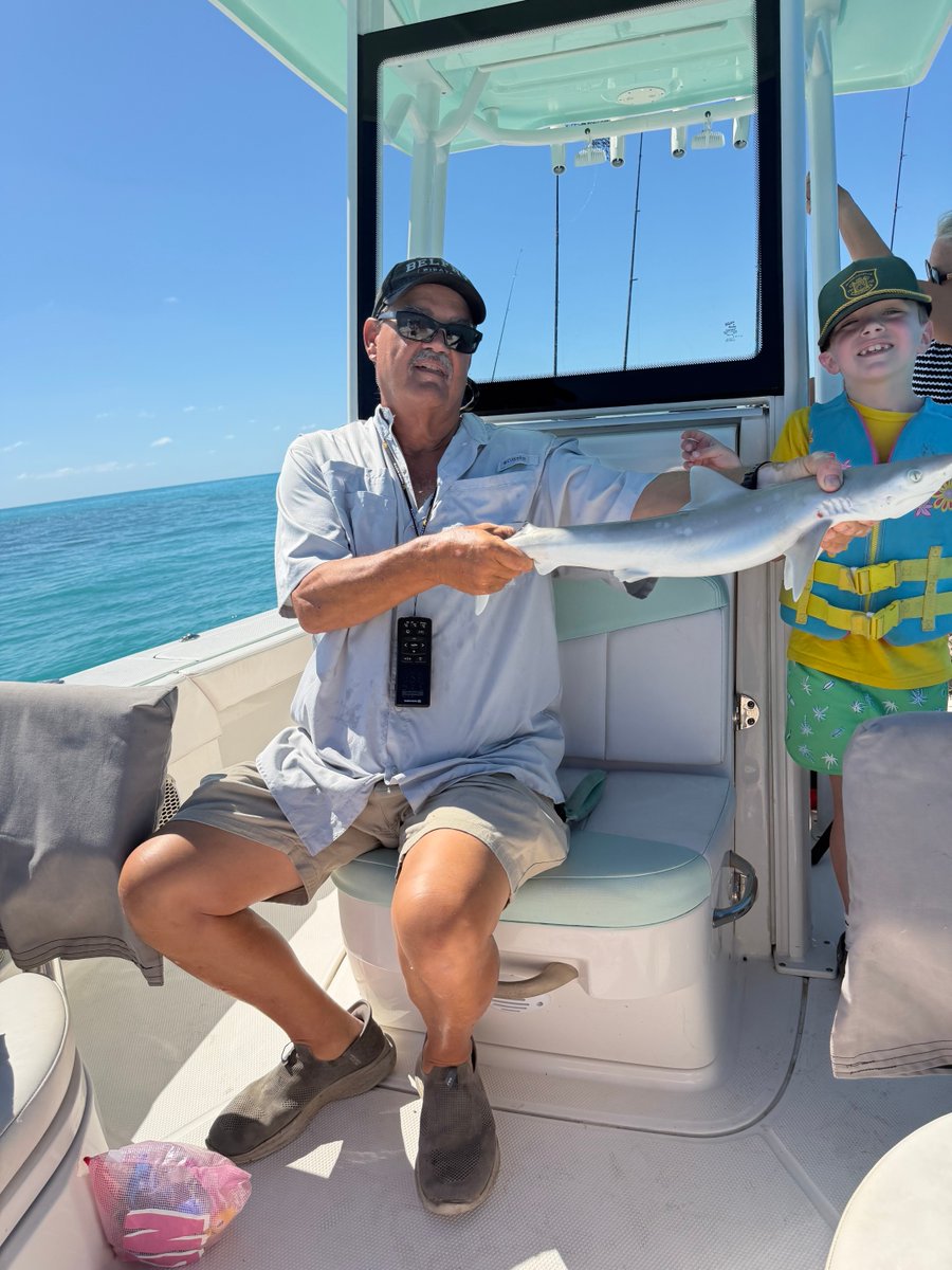 Laman Stark tweet media