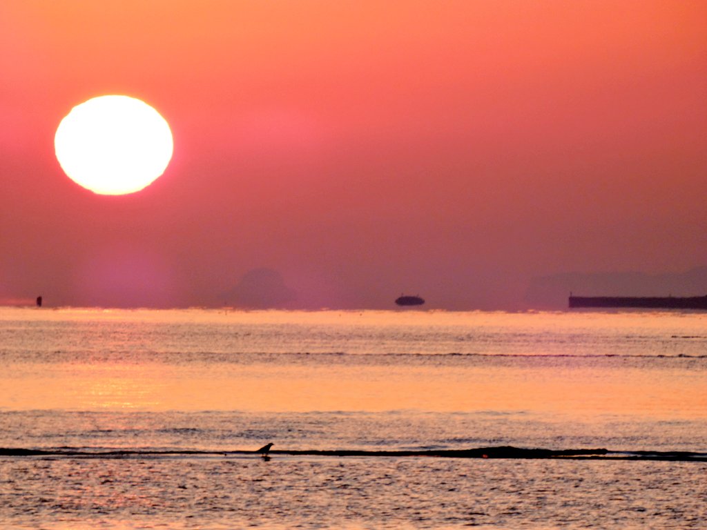 おはようございます。 案の定、放射冷却型上位蜃気楼発生しておりまし