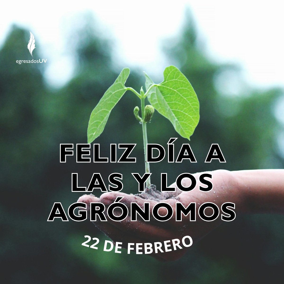 💚 💙 #EgresadoUV felicitamos a las y los agrónomos! 🌾✨
Gracias por escuchar a la tierra, respetar sus tiempos y trabajar con pasión para que nunca falte el pan en nuestra mesa. 🌱💚

#DependeDelCultivo 👨‍🌾