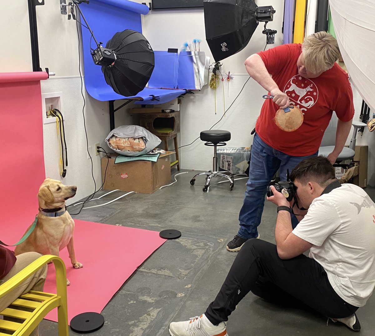 RHS CCTE tweet media