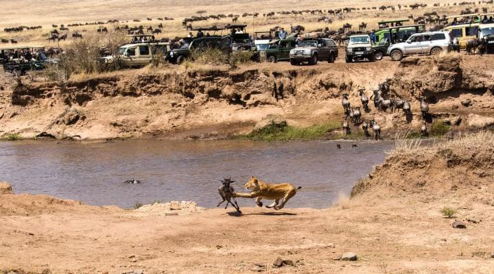 Satima Expeditions And Events tweet media