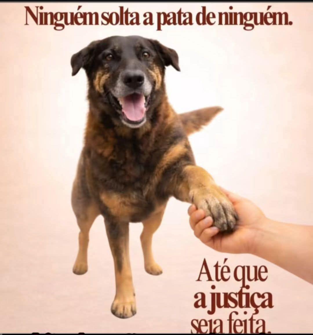 @aimaasson #30MILHOESDEORELHAS