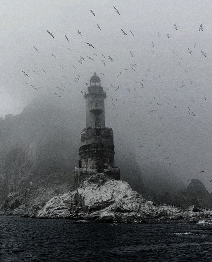 𝕰𝖑𝖊𝖒𝖒𝖎𝖗𝖊 tweet media