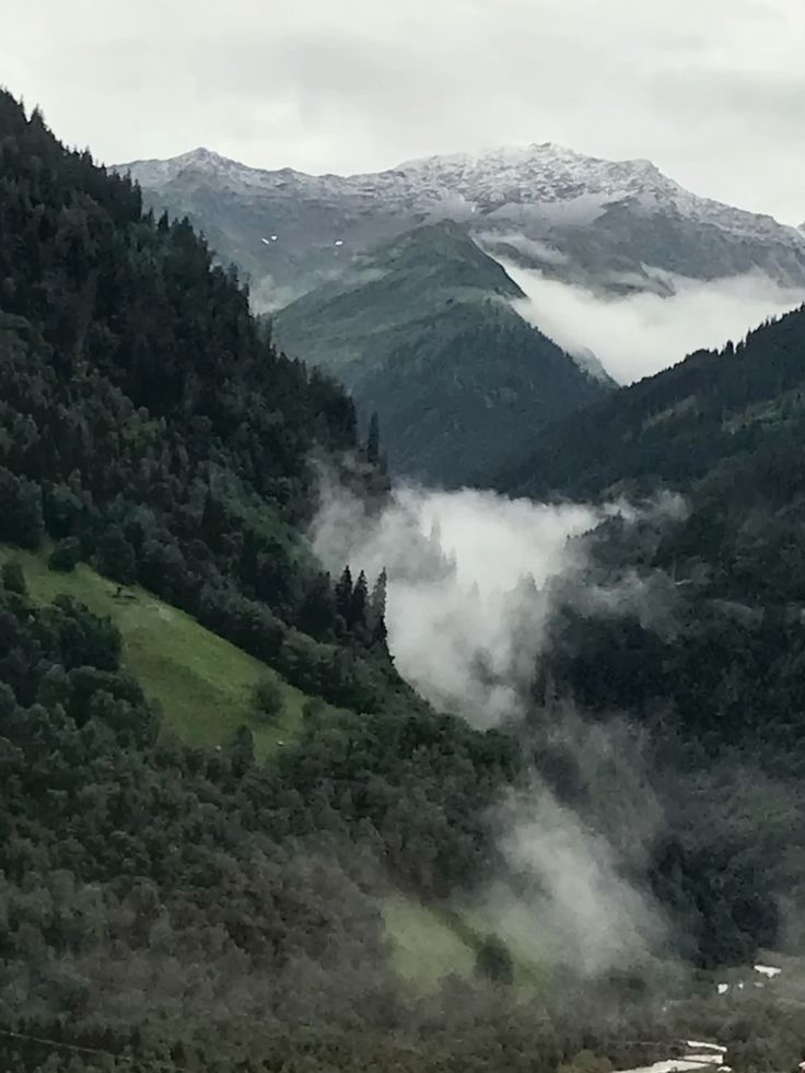 𝕰𝖑𝖊𝖒𝖒𝖎𝖗𝖊 tweet media