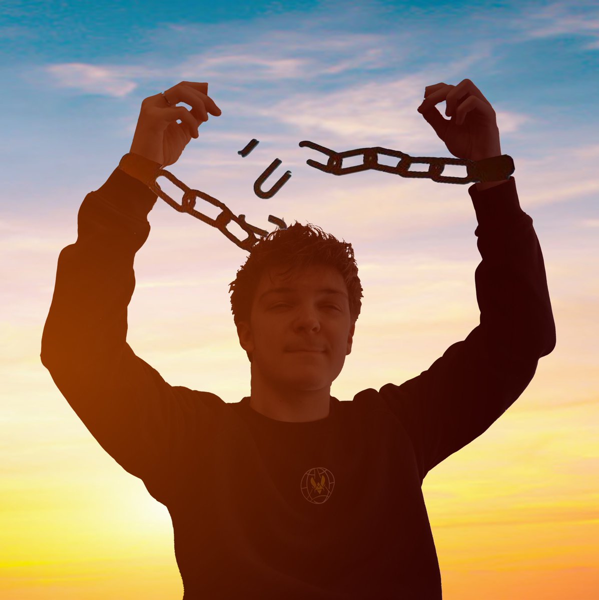 Team Vitality 🐝 tweet media