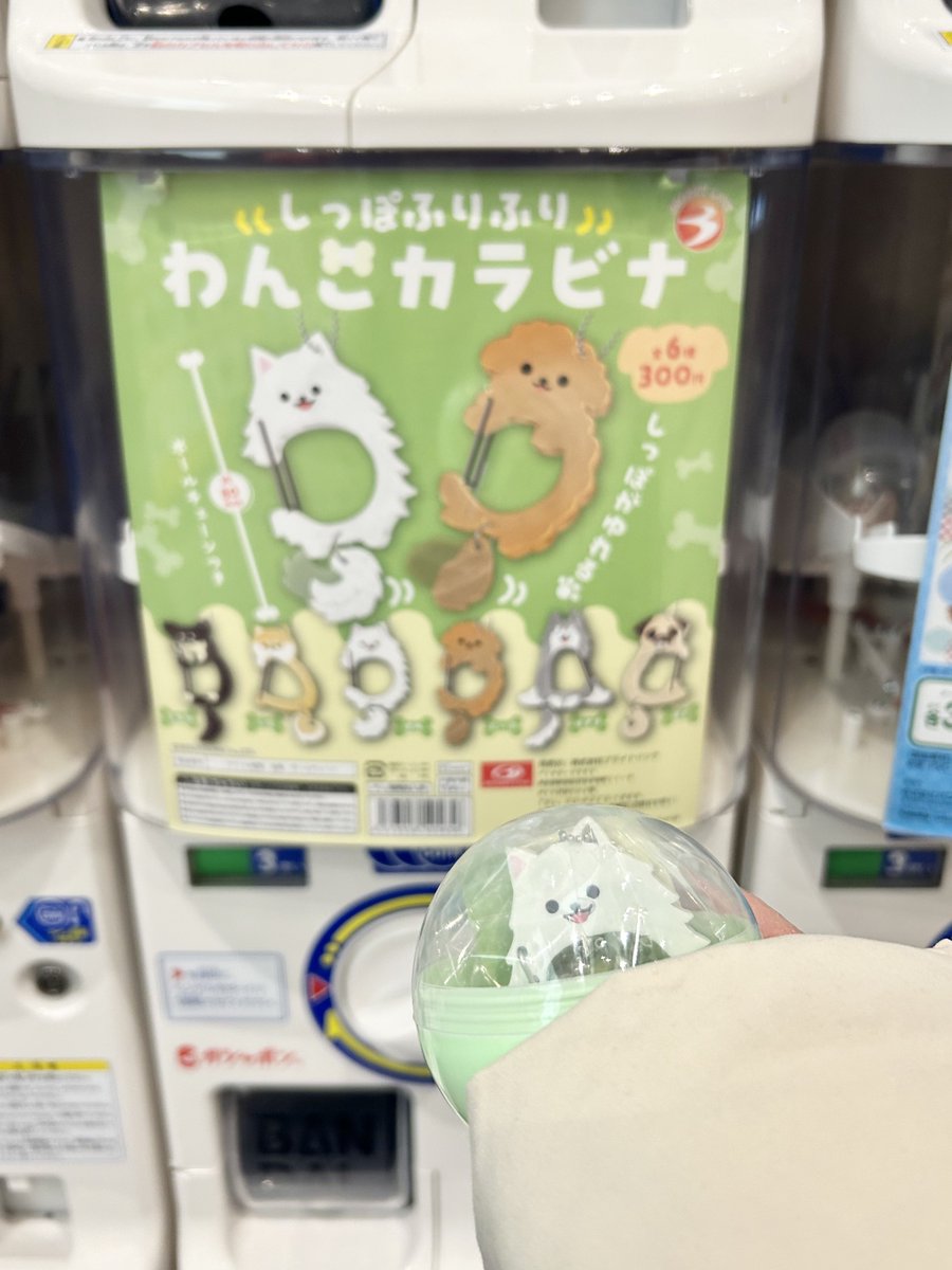 出発前の空港で探してたガチャガチャできた☺️

そして一発でお目当て出ちゃうの…！