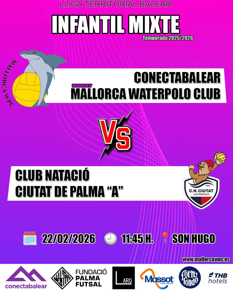 MALLORCA WATERPOLO tweet media