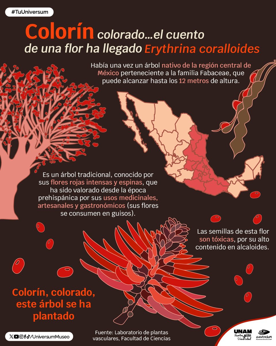 Universum Museo tweet media