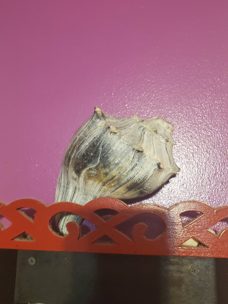 OpGameOverX- $OMNI 🅾️ tweet media