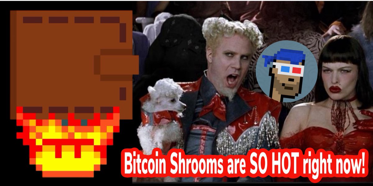 WaveLength 〰️ 🟧 tweet media