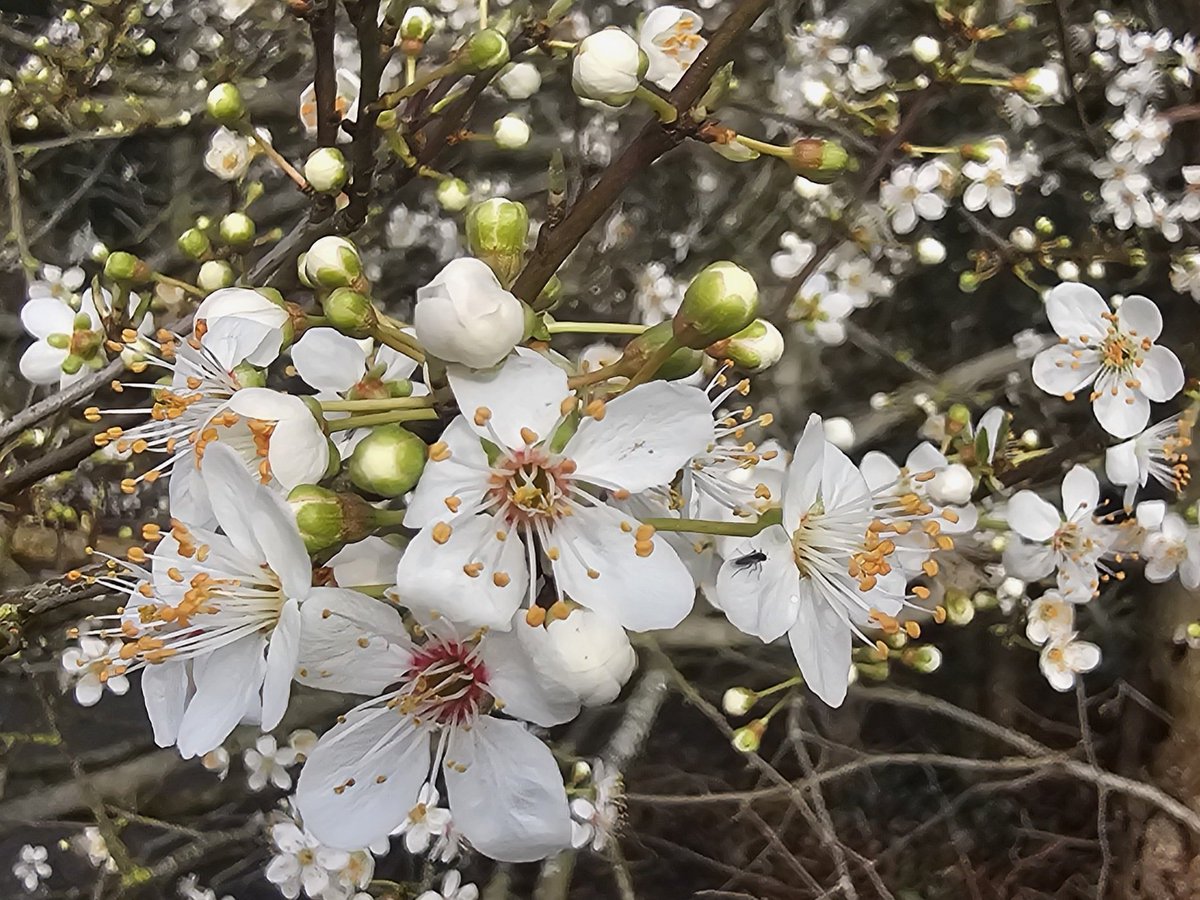 Andrew Wright tweet media