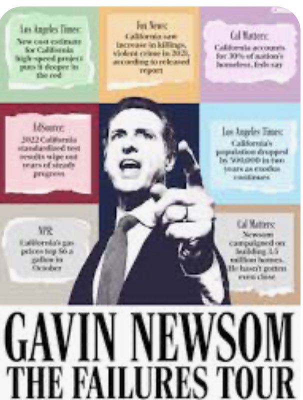 Duck 4 Cover tweet media