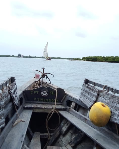 Satima Expeditions And Events tweet media