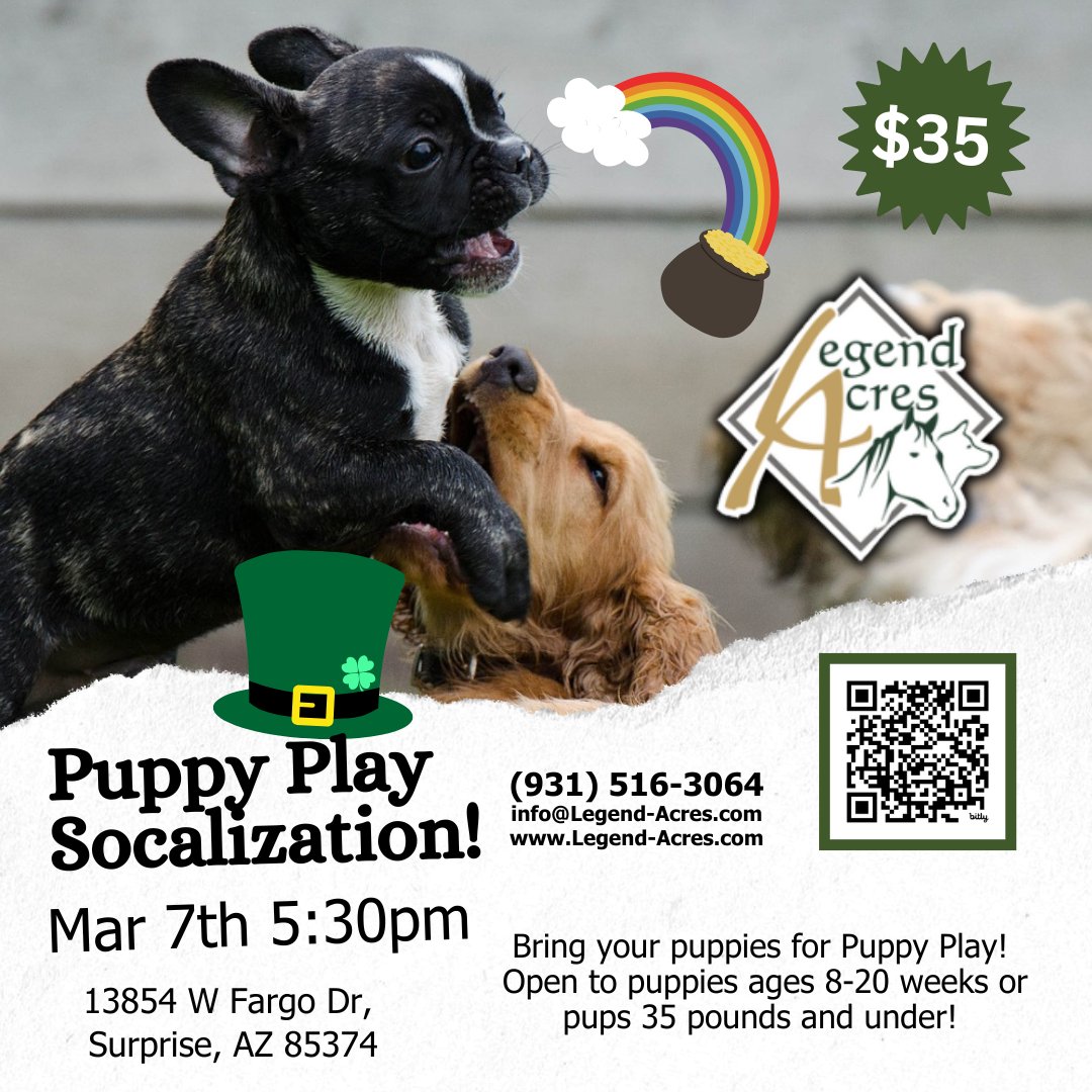 LegendAcres's tweet image. 🐾 Puppy Play (Socialization &amp;amp; Competence) builds confidence and calm through structured interaction.

👉 Learn more &amp;amp; register:
bit.ly/48hNHcb 

#PuppyPlay #DogSocialization #LegendAcres