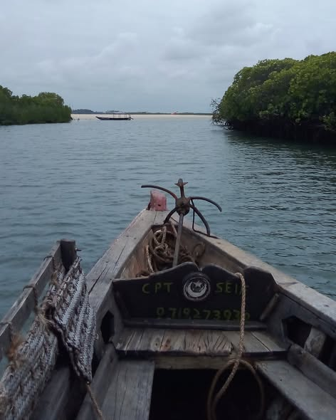 Satima Expeditions And Events tweet media