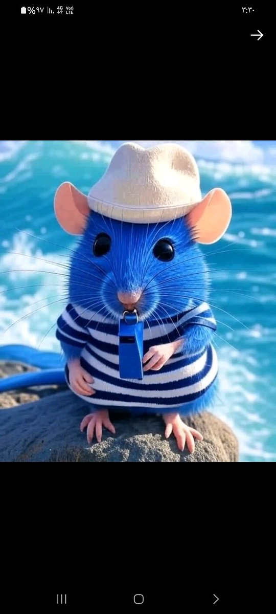 💙 تابعوني اتابعكم 💛 tweet media