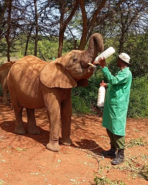 Satima Expeditions And Events tweet media