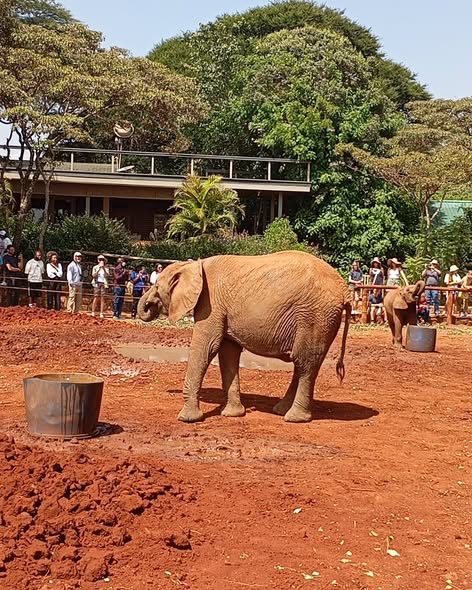 Satima Expeditions And Events tweet media