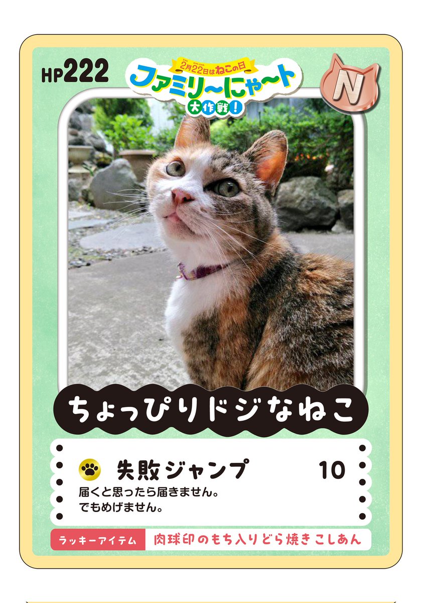 ドジじゃないにゃん😼💢 #猫のいる暮らし𓃠 #三毛猫