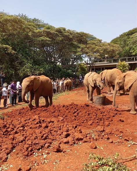 Satima Expeditions And Events tweet media