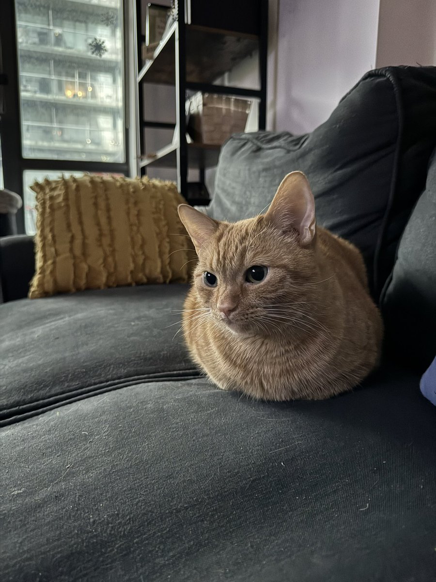 WHERE ARE HIS ARMS AND LEGS