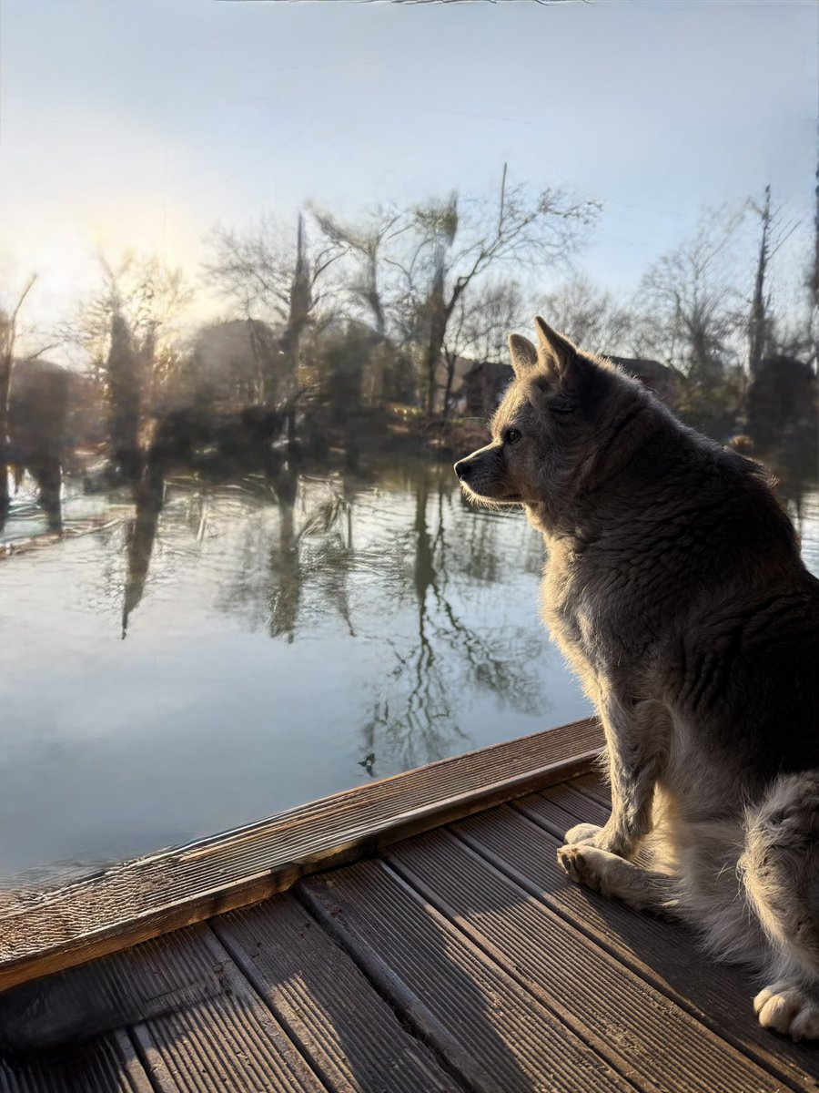 ozesra26's tweet photo. Bugün insansız , sadece kuş sesleri kedi ve köpekle geçirdiğim şahane bir gündü , arındım resmen.
İnsansız her yer çok güzel. https://t.co/k2kDEriV6t