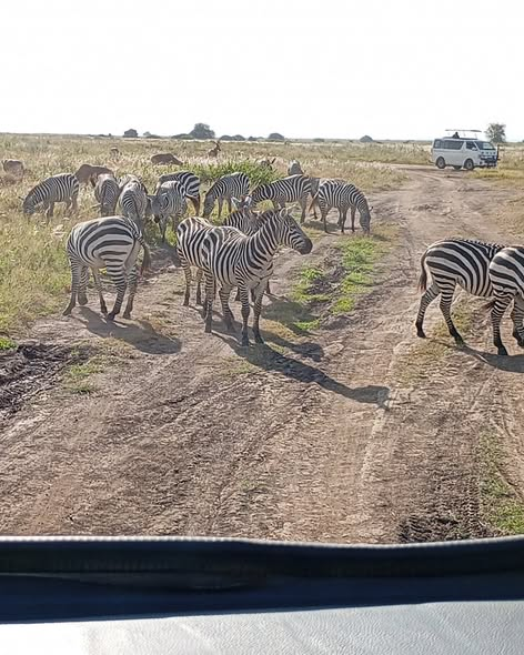 Satima Expeditions And Events tweet media