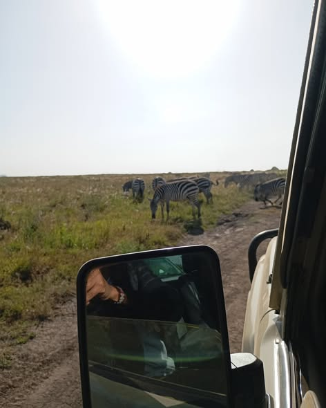 Satima Expeditions And Events tweet media