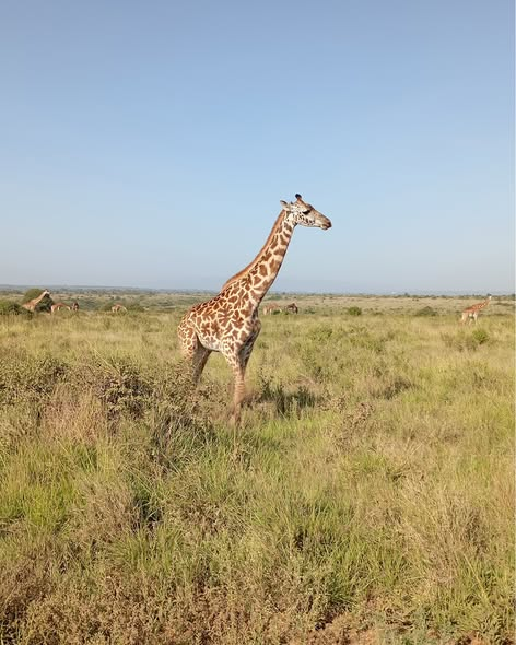 Satima Expeditions And Events tweet media