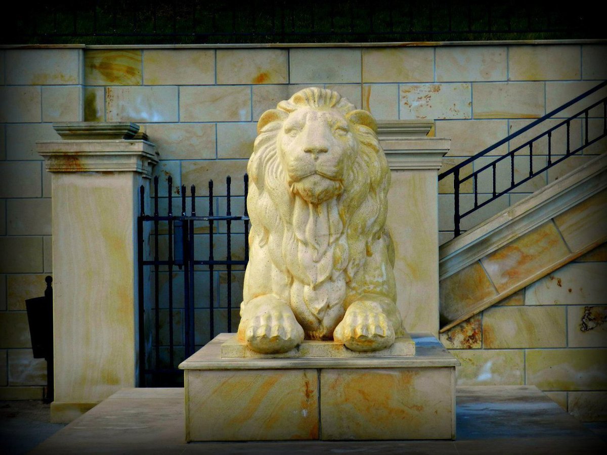 Катерина Галич tweet media