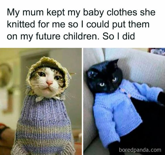 WholesomeMemes tweet media