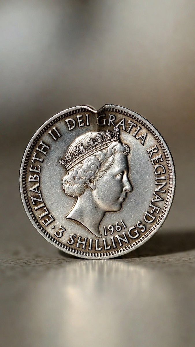 Conor Donnelly tweet media