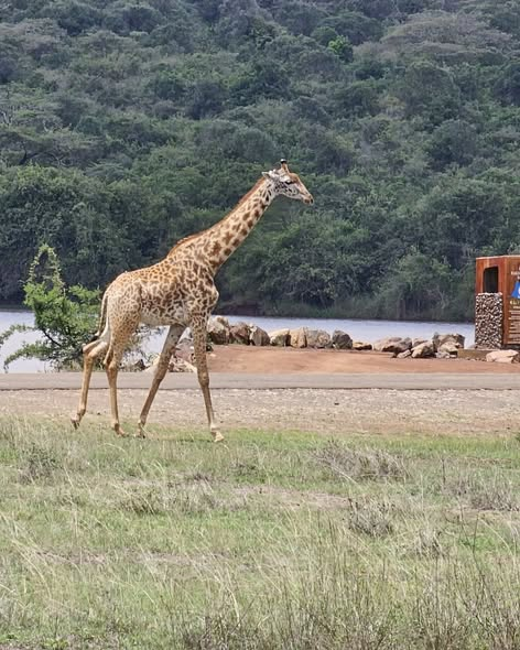 Satima Expeditions And Events tweet media