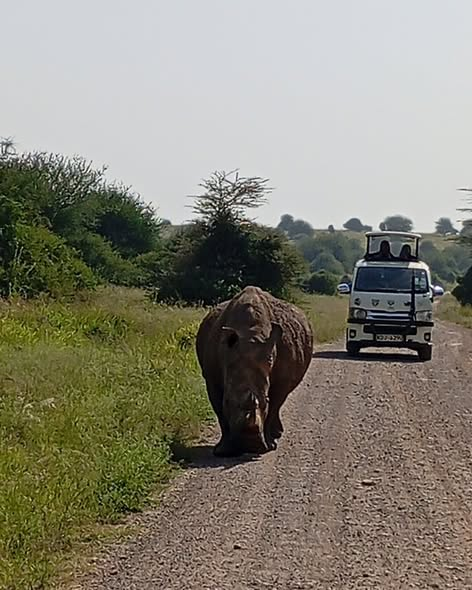 Satima Expeditions And Events tweet media