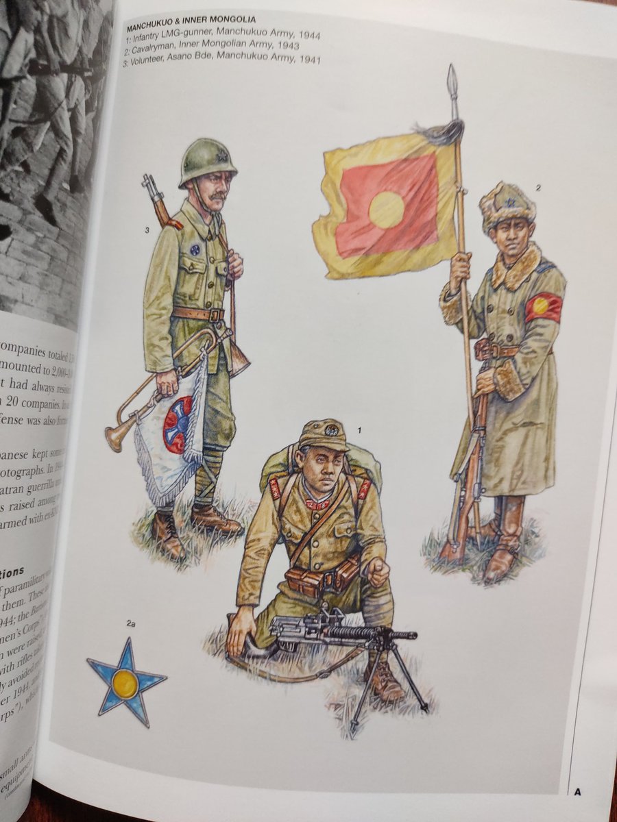 満洲国軍と蒙古聯合自治政府軍 日本軍と同型ながら青地の羅紗の階級章