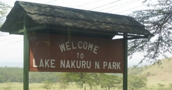 Satima Expeditions And Events tweet media