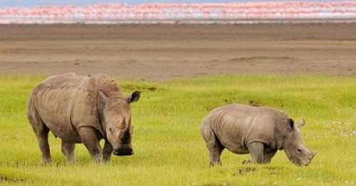 Satima Expeditions And Events tweet media