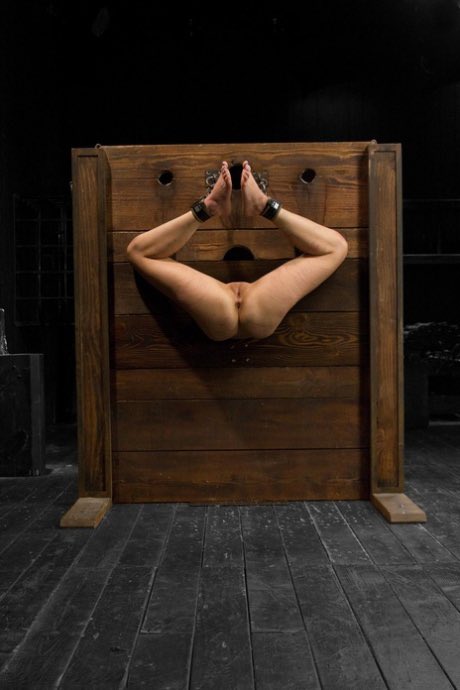 James B (@james_lion_01) on Twitter photo 