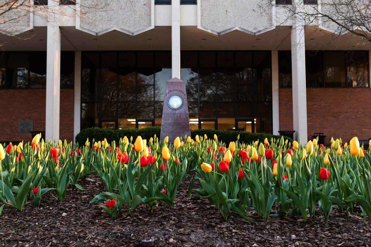 Mississippi State tweet media