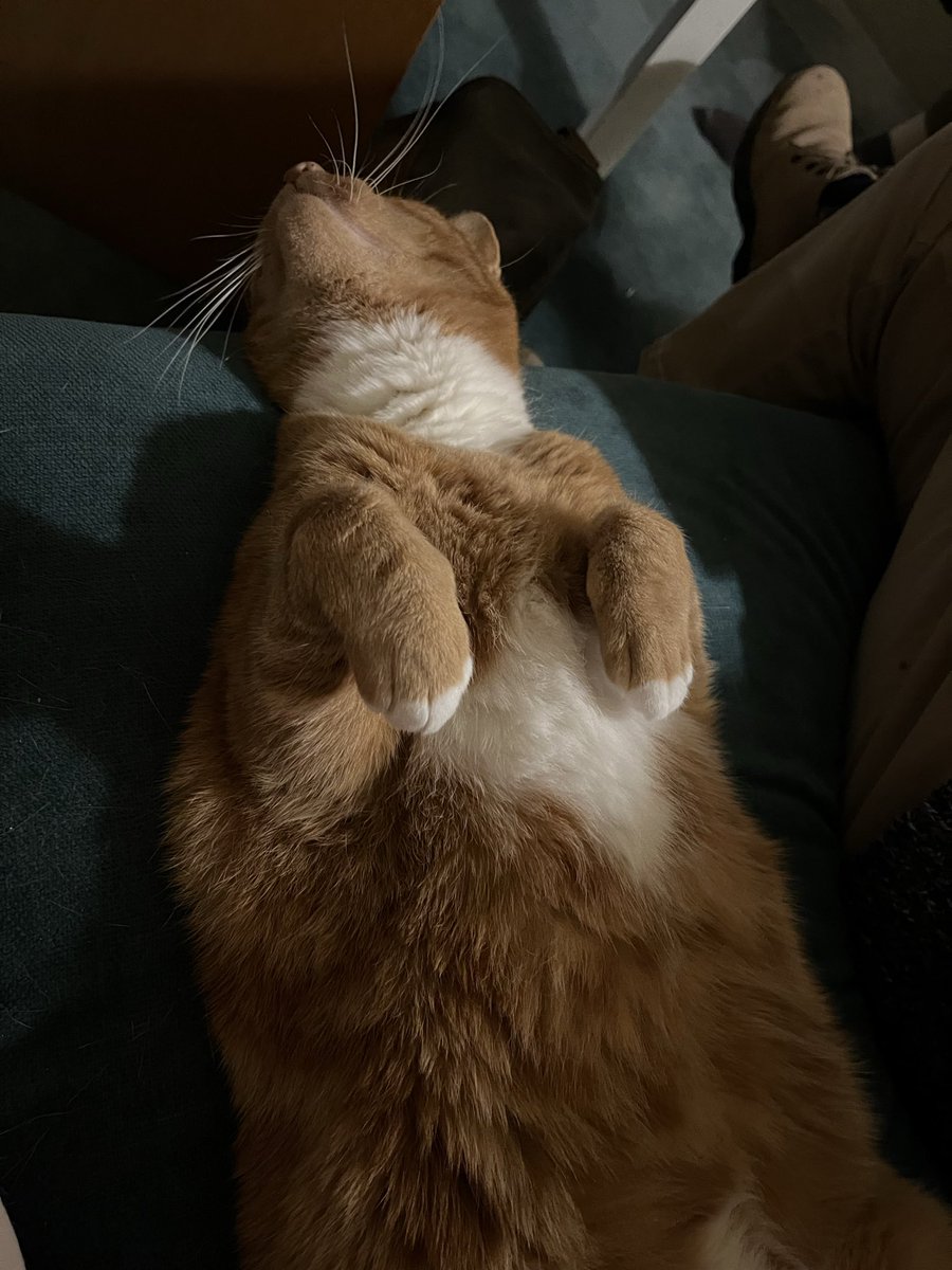 BirnieLinzi's tweet photo. I had help from Barnaby the cat during our first #LentGroup of 2026. Great discussion (& cake). Thanks to @revhuw for the course notes. We could have talked for another hour easily. https://t.co/UQlfeFTtcf